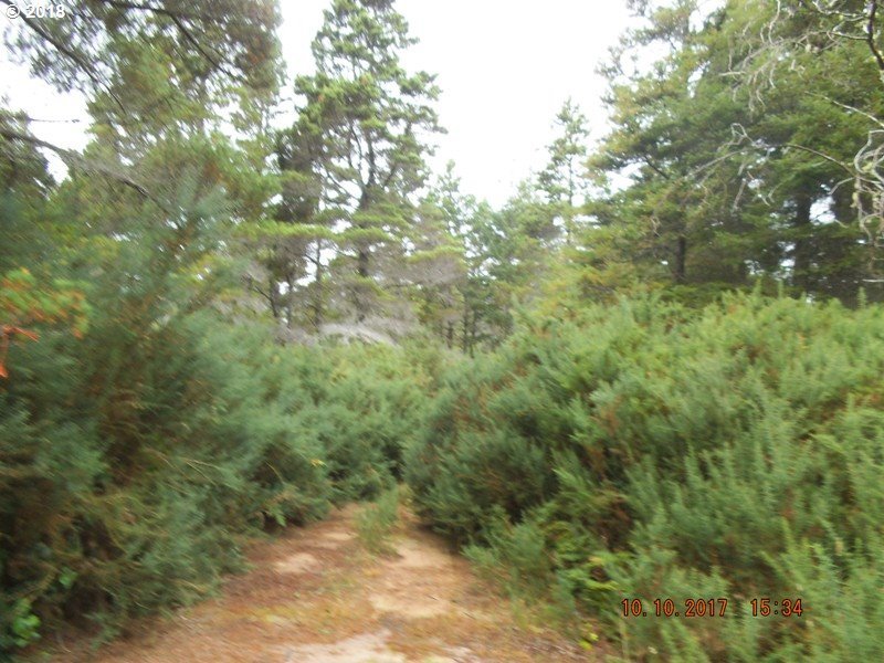 0 County Dump Road Bandon, OR 97411 - Photo 9 of 14 Gallery Image 9