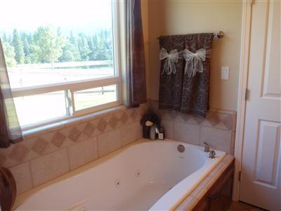 43889 Todd Eymann Road Miramonte, CA 93641 - Photo 13 of 20 Jetted tub w/large picture window (with another great view), and overhead heater.