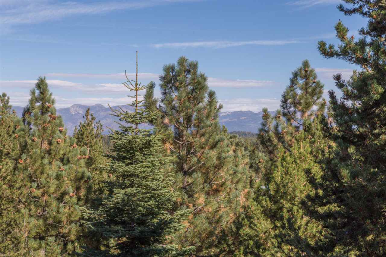 12391 Stockholm Way Truckee, CA 96161 - Photo 14 of 14