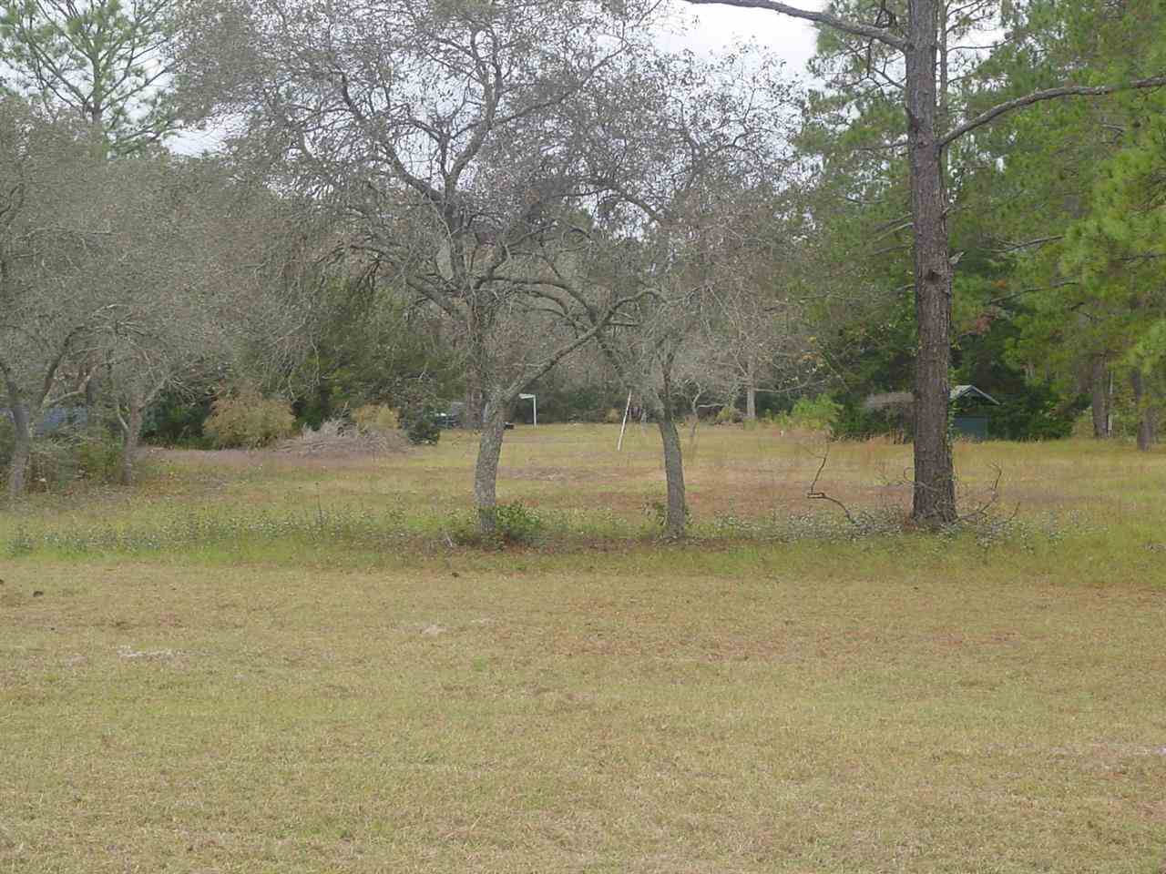 1921 Ryan Road St. Augustine, FL 32092 - Photo 4 of 5
