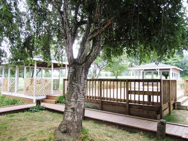 8666 North Pinson Road Portland, TN 37148 - Photo 10 of 30 Gazebos and decking