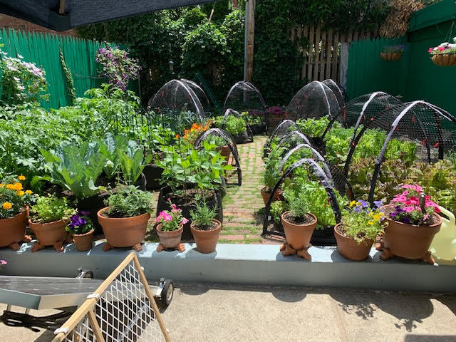 118 Prospect Place, Unit 1 Brooklyn, NY 11217 - Photo 8 of 10