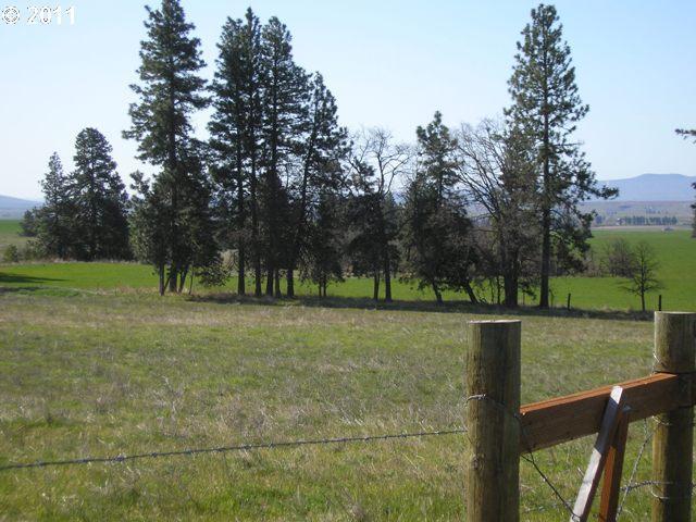 435 Hill Road Goldendale, WA 98620 - Photo 16 of 16 Gallery Image 16