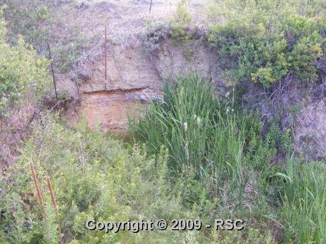 12495 Paint Mine Road Calhan, CO 80808 - Photo 13 of 15 Spring Fed Pond