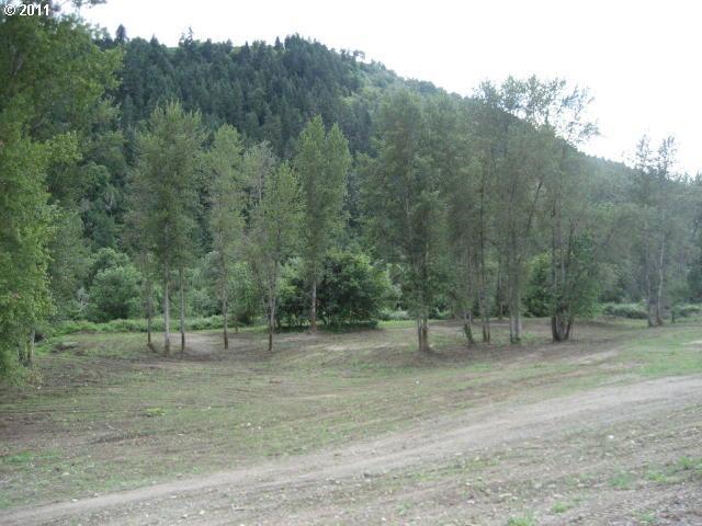 0 Parkinson Road Winston, OR 97496 - Photo 11 of 13 Gallery Image 11