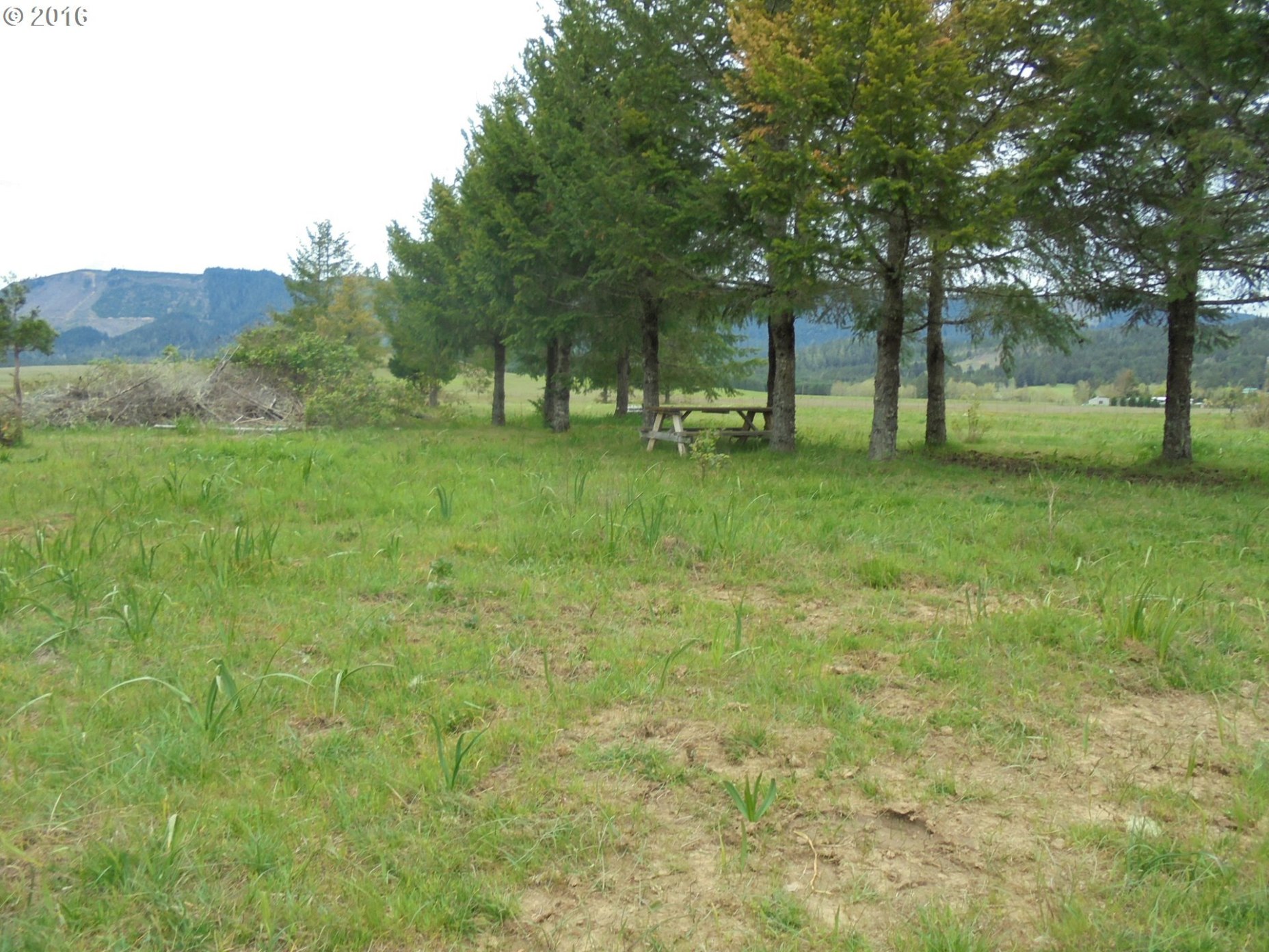 1106 Westside Road Camas Valley, OR 97416 - Photo 19 of 31