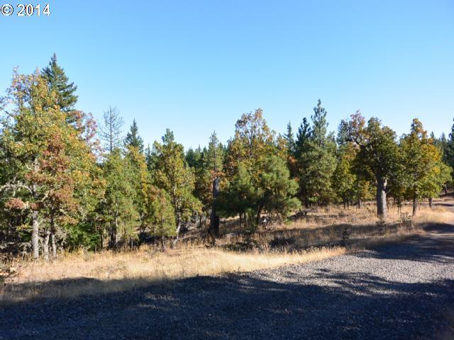 Ridge Road, Unit LOT12 Goldendale, WA 98620 - Photo 4 of 8 Gallery Image 4
