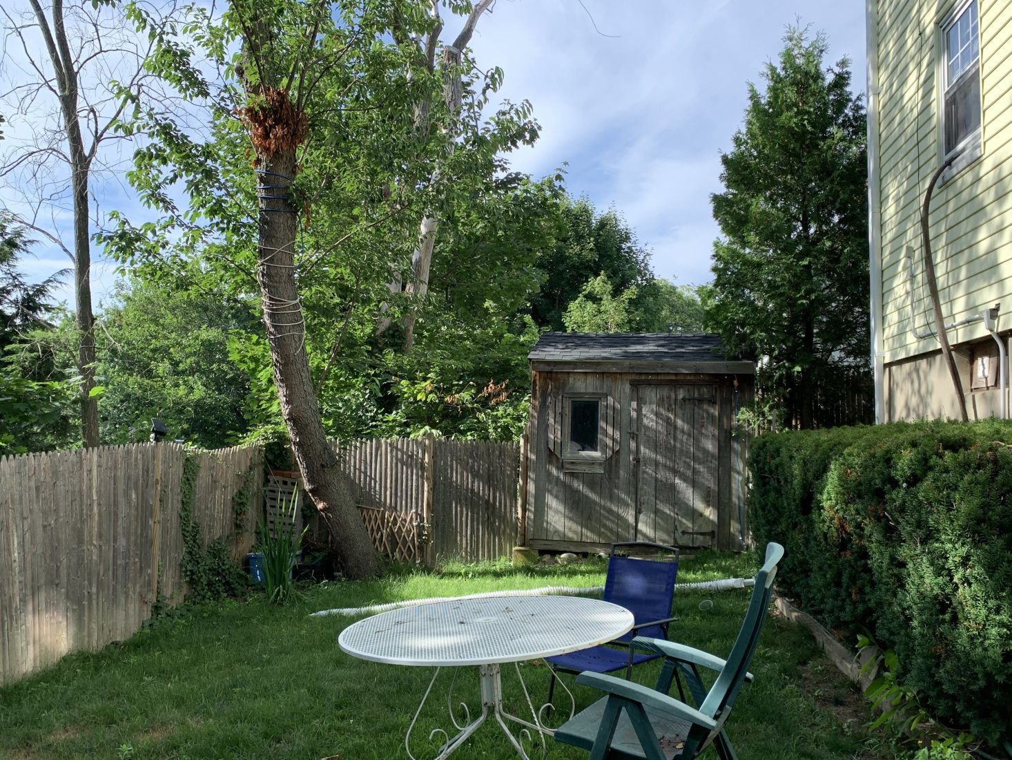 290 Forest Street Arlington, MA 02474 - Photo 6 of 6