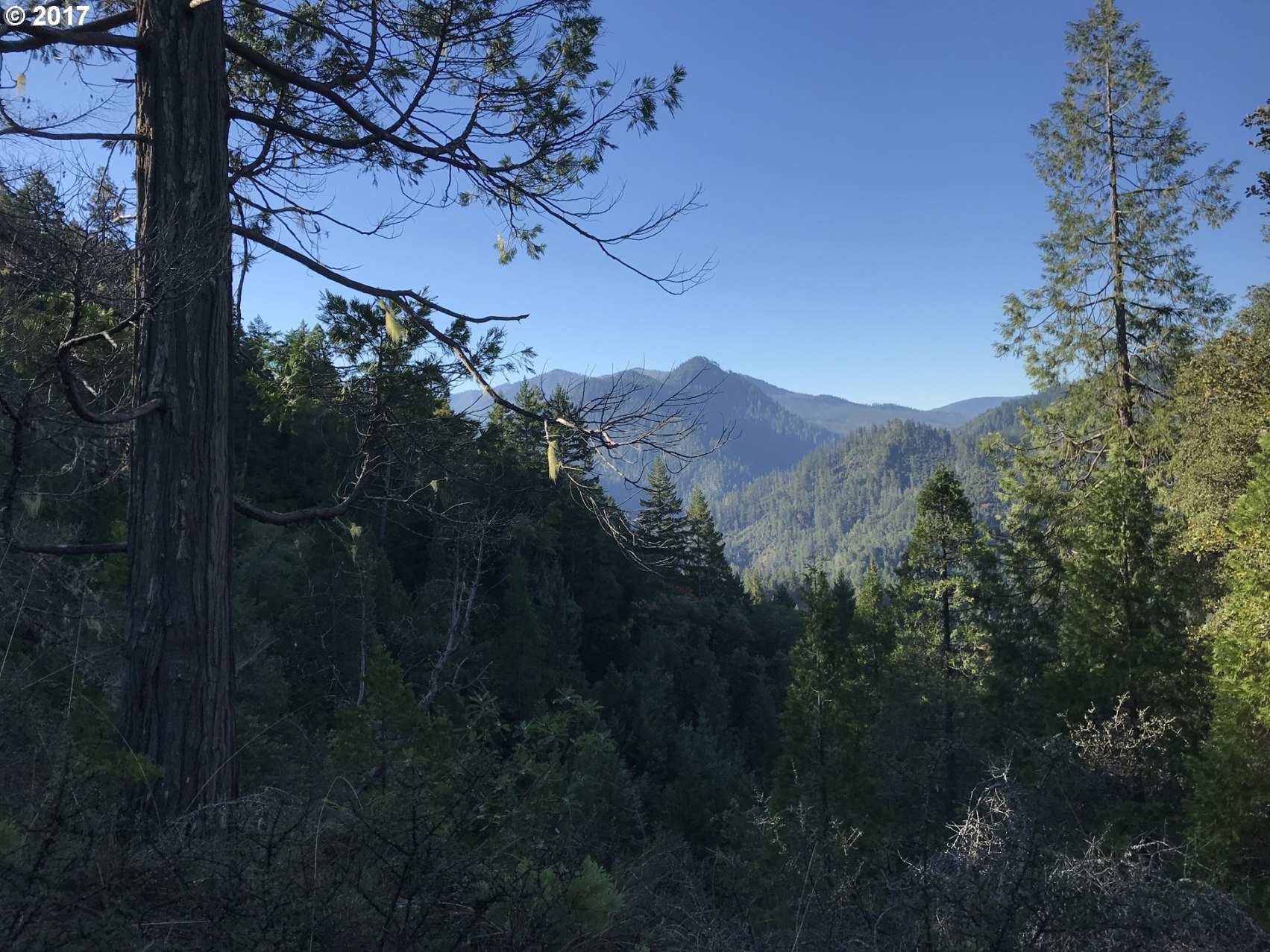 Old House Creek Road Agness, OR 97406 - Photo 5 of 31
