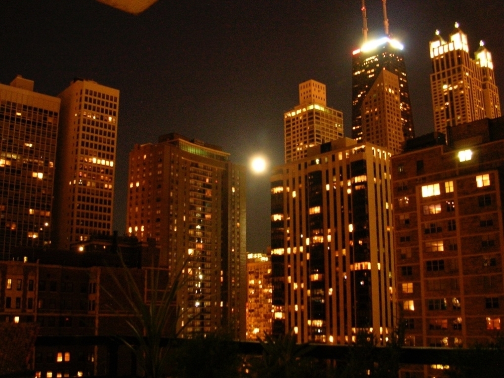 30 E Elm St, Chicago, IL 60611 - Photo 16 of 17