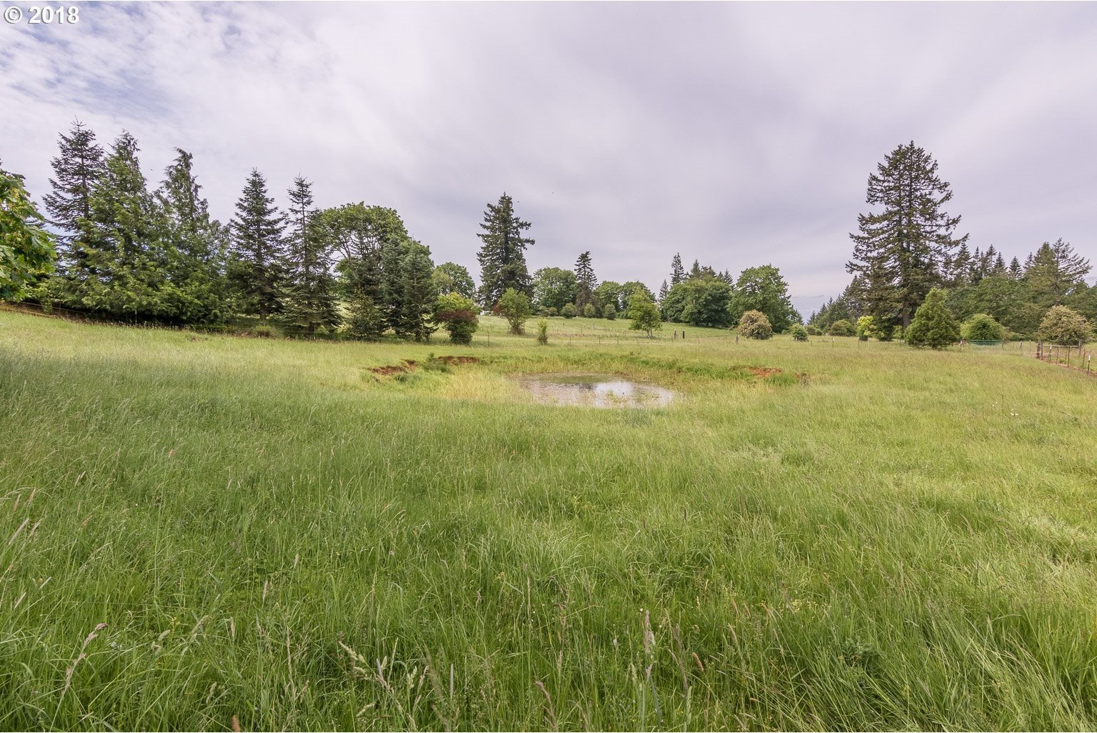 42433 Rodgers Mountain Loop Scio, OR 97374 - Photo 12 of 32 Gallery Image 12