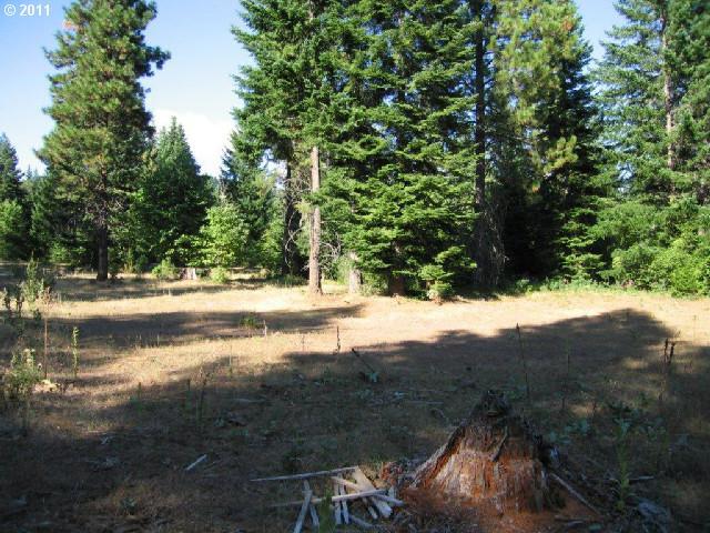 De Bo Road White Salmon, WA 98672 - Photo 11 of 12 Gallery Image 11