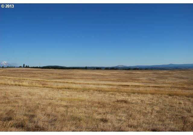 Red Tail Road, Unit 81 Lyle, WA 98635 - Photo 3 of 14 Gallery Image 3