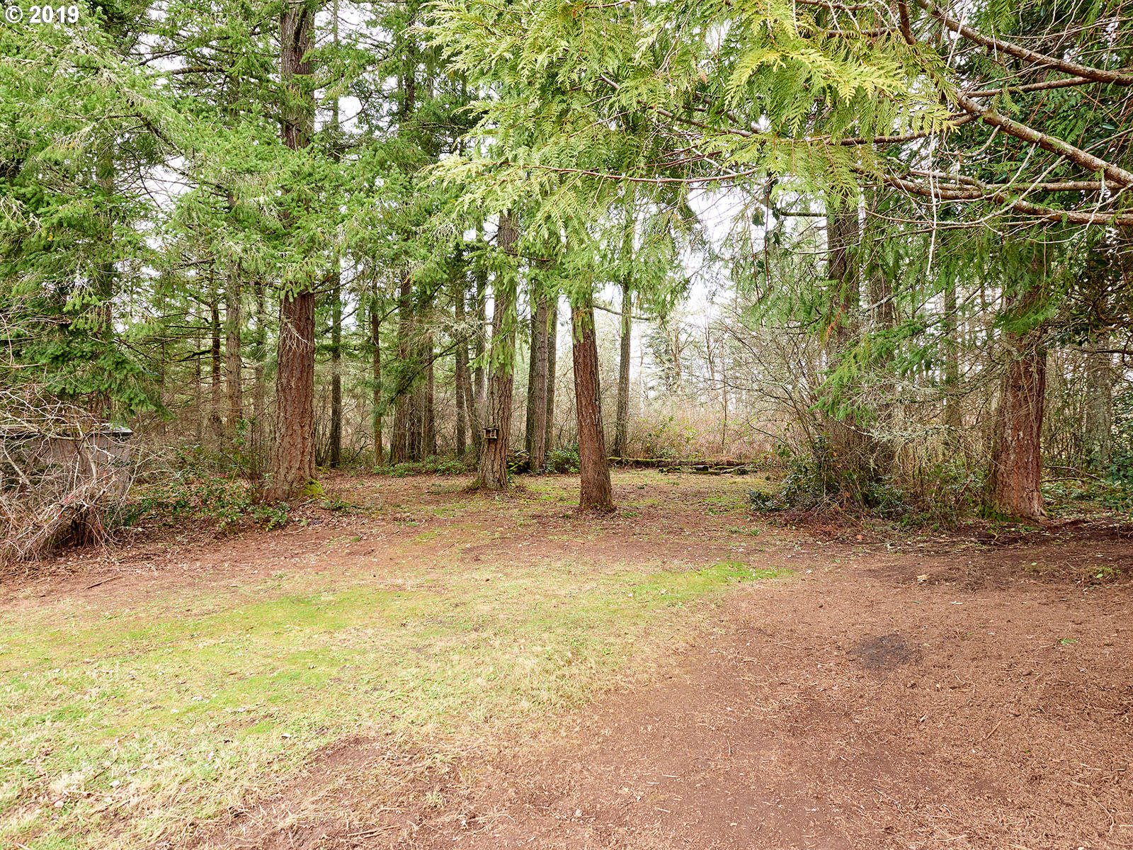 17510 South Rory Court Oregon City, OR 97045 - Photo 12 of 31