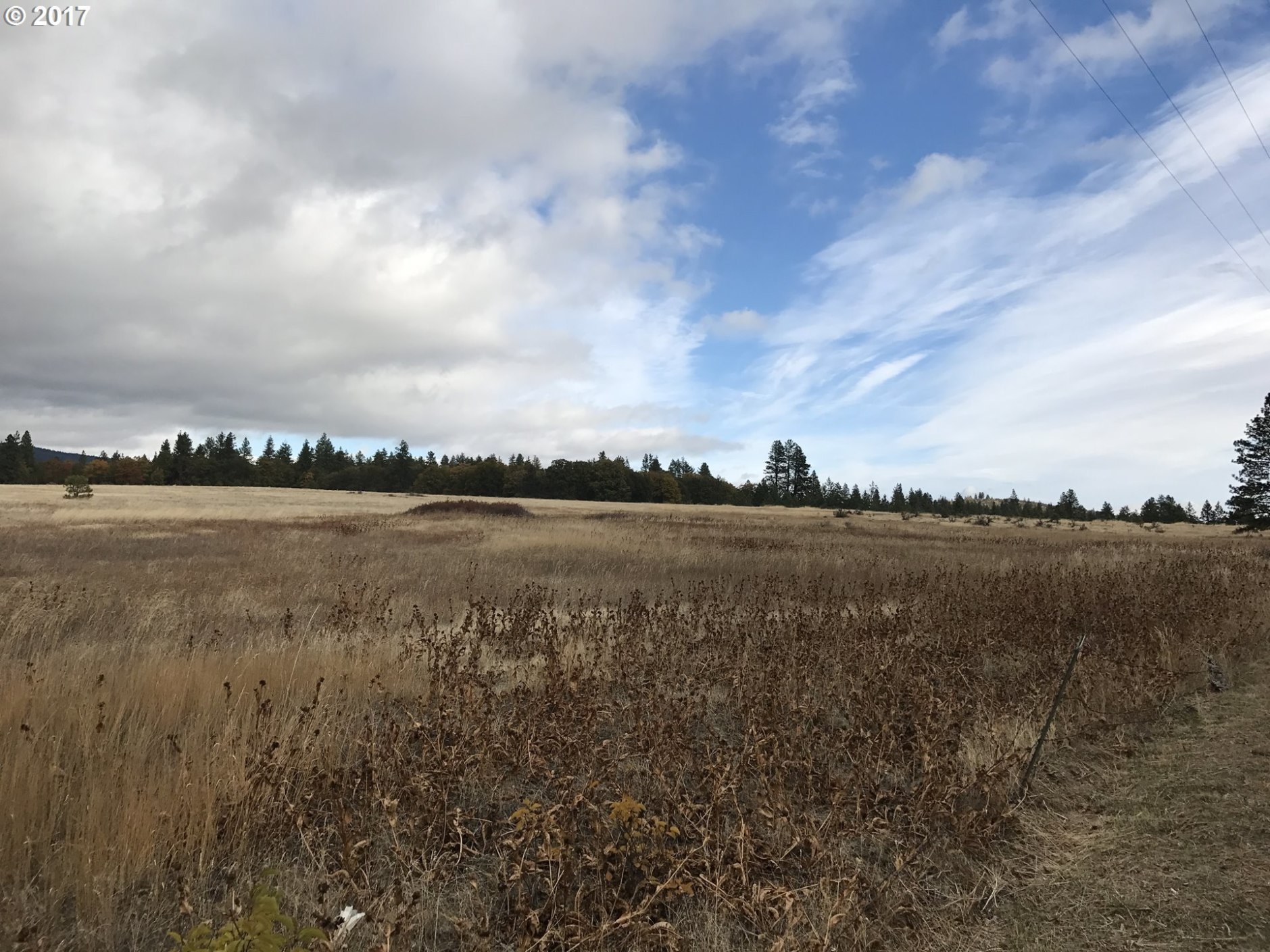 310 Orchard Heights Road Goldendale, WA 98620 - Photo 13 of 28 Gallery Image 13