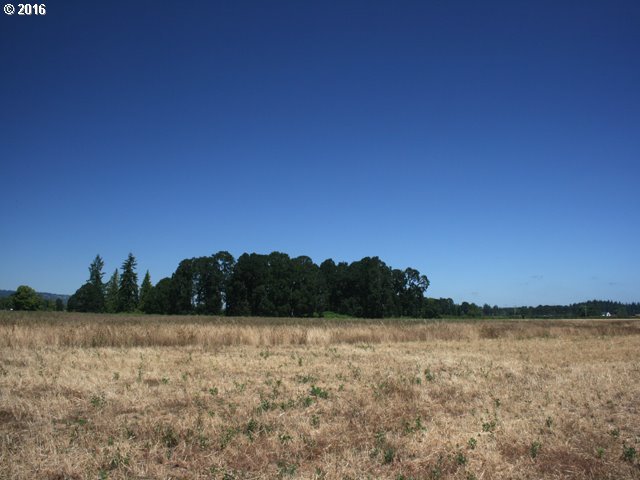 Boones Ferry Road Aurora, OR 97002 - Photo 3 of 12 Gallery Image 3