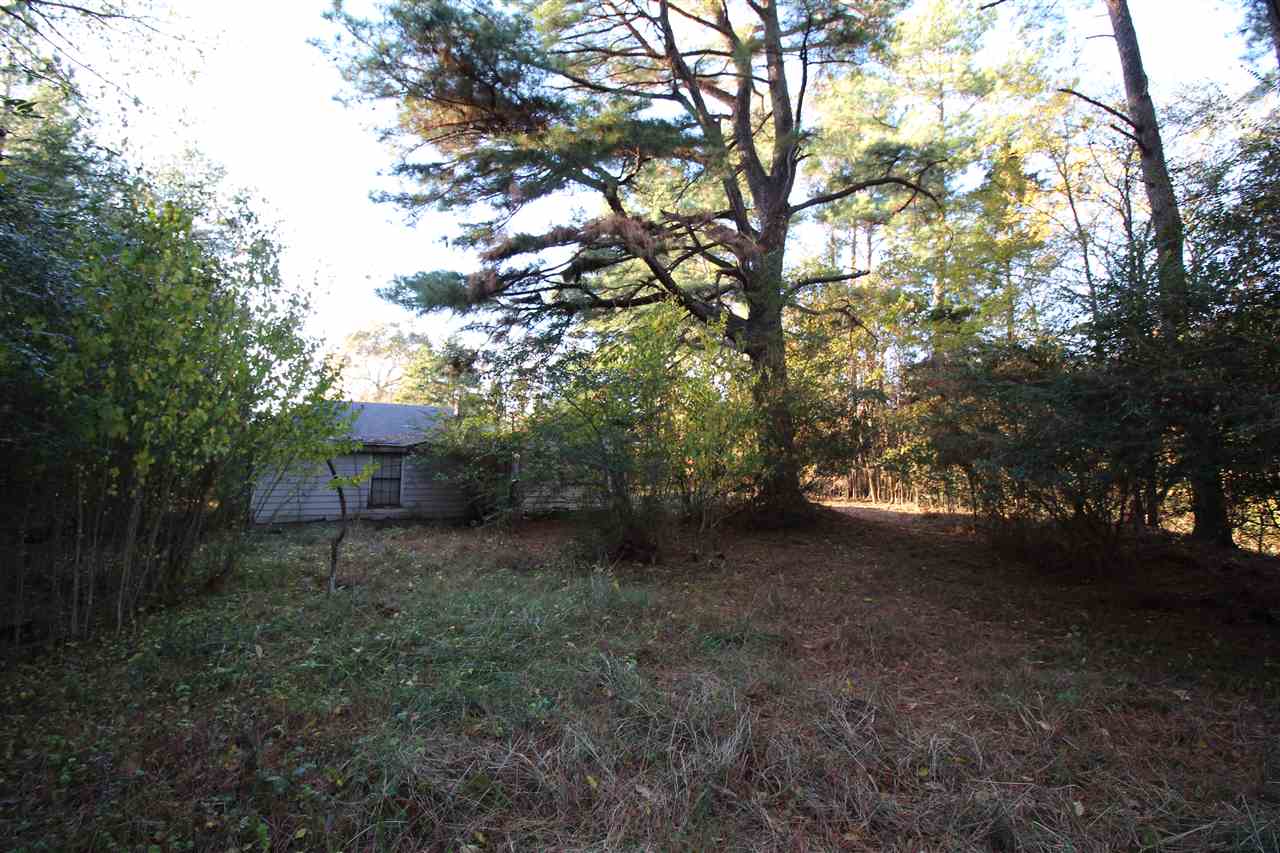 1086 Dent Road Eads, TN 38028 - Photo 12 of 24 Gallery Image 12
