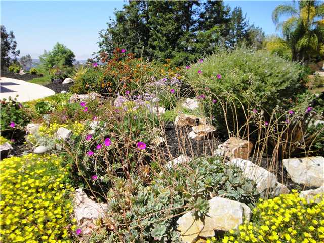 15367 Ridgeview Place Poway, CA 92064 - Photo 6 of 6 Gallery Image 6