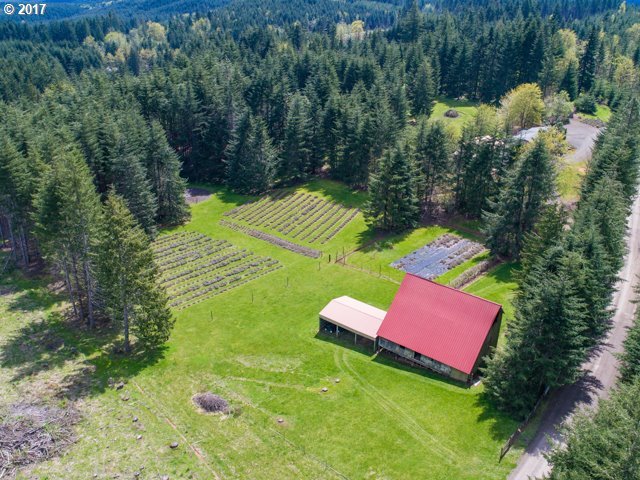24570 Northwest Ridge Road Forest Grove, OR 97116 - Photo 10 of 31 Gallery Image 10