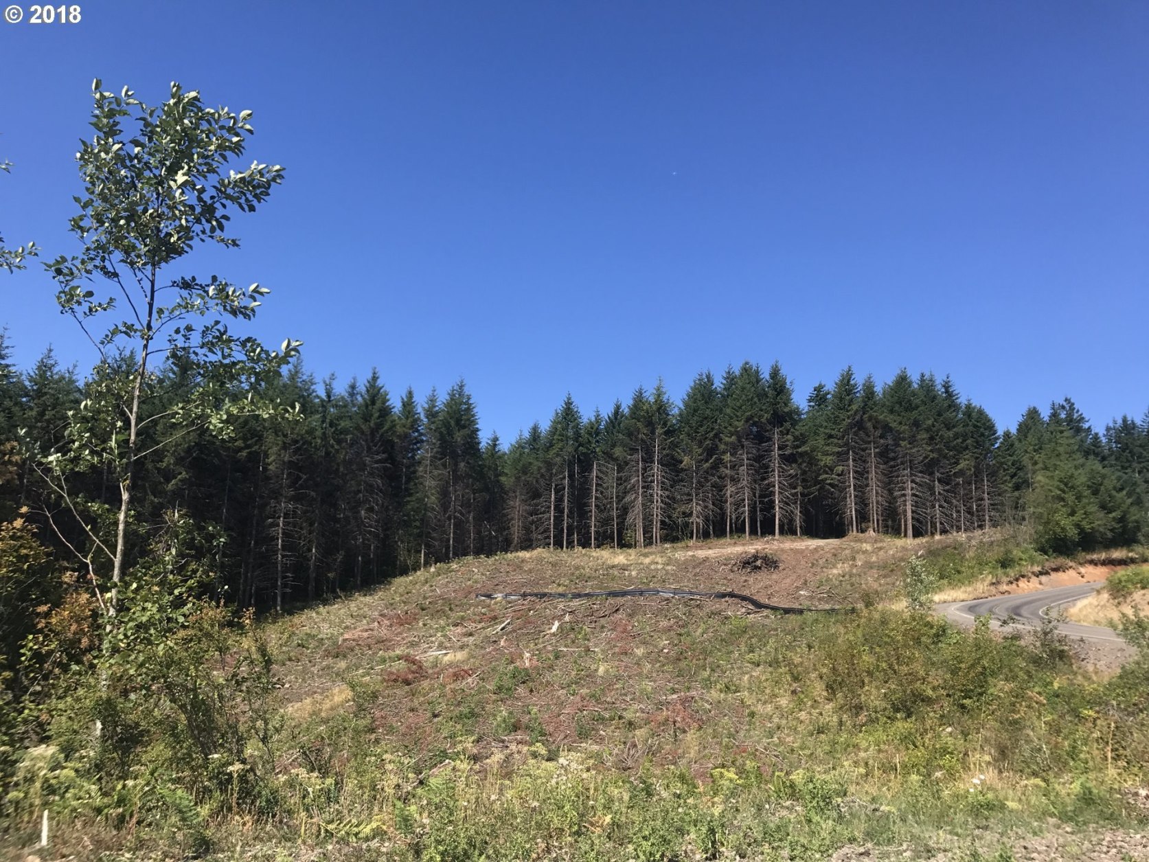 276 Shirley Gordon Road Kalama, WA 98625 - Photo 1 of 11 Gallery Image 1