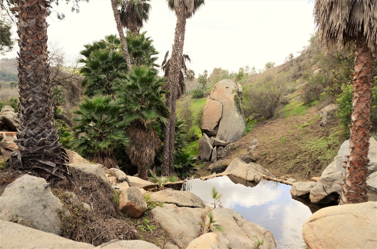 31250 Rancho Amigos Road Bonsall, CA 92003 - Photo 17 of 22 Running Stream