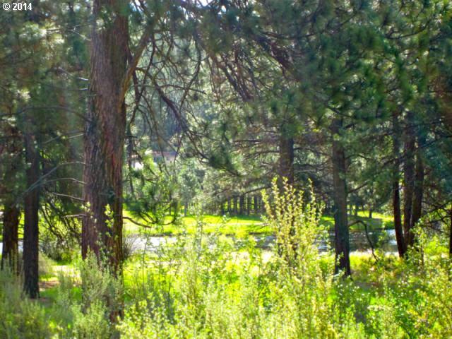 Drake Drive Chiloquin, OR 97624 - Photo 5 of 13 Gallery Image 5