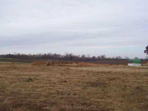 2203 Detroit Road Burlison, TN 38015 - Photo 2 of 8 Gallery Image 2