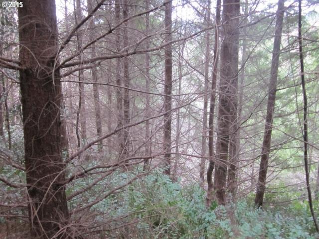 Bear View Drive Chehalis, WA 98532 - Photo 13 of 16 Gallery Image 13