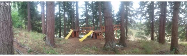 178 Newman Road Kalama, WA 98625 - Photo 15 of 15 Gallery Image 15