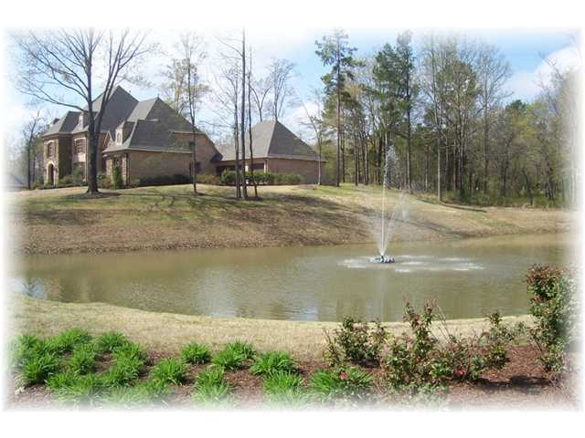 60 Ridgewood Drive Piperton, TN 38017 - Photo 12 of 12 Gallery Image 12