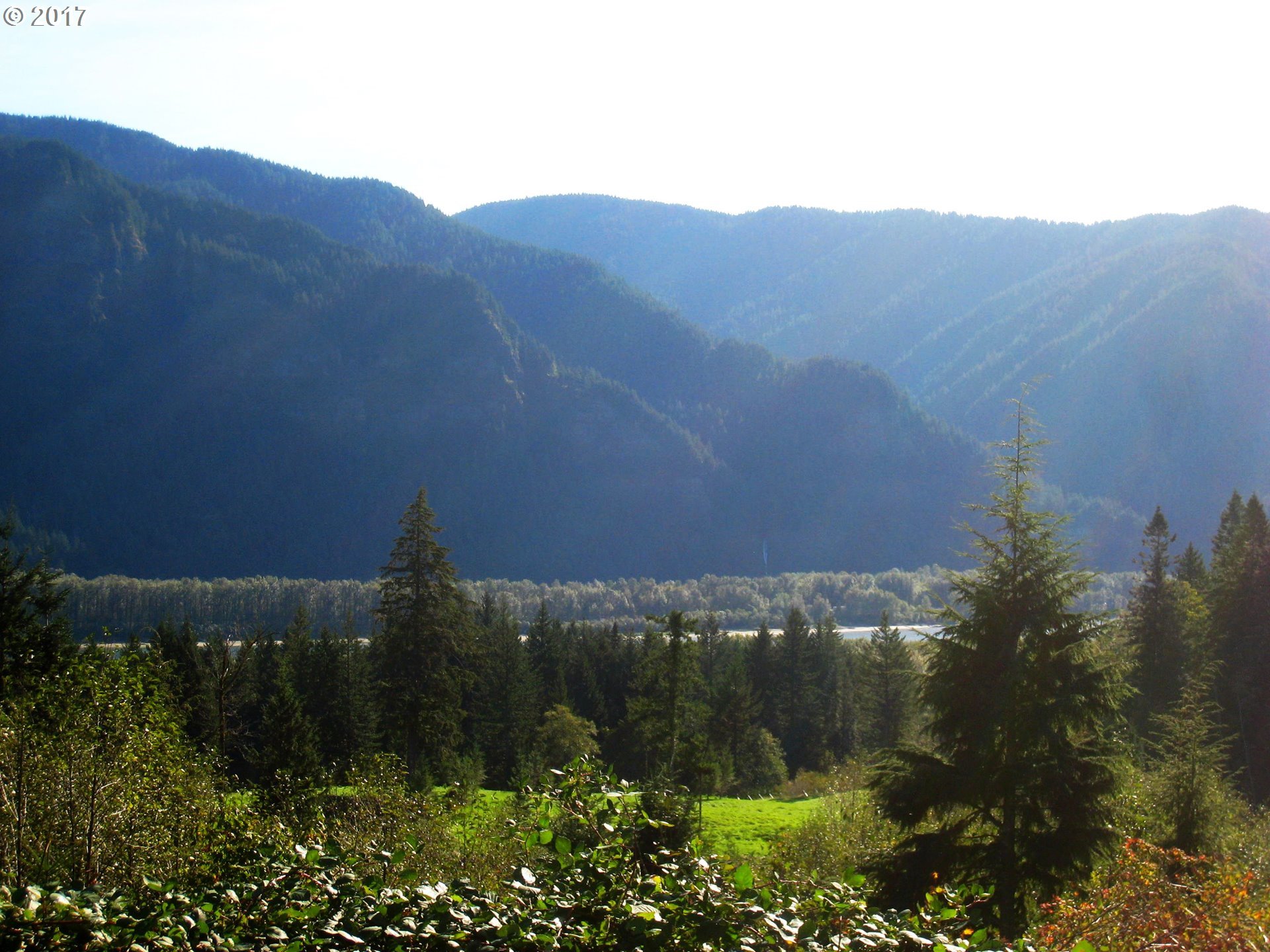 304 Duncan Creek Road Stevenson, WA 98648 - Photo 8 of 11 Gallery Image 8