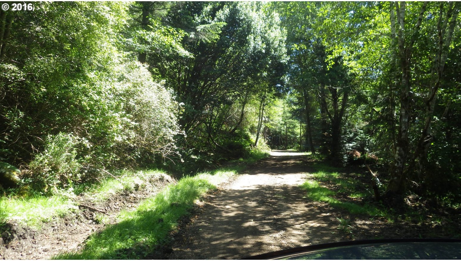 Grizzly Mountain Road, Unit 3B Gold Beach, OR 97444 - Photo 16 of 24 Gallery Image 16