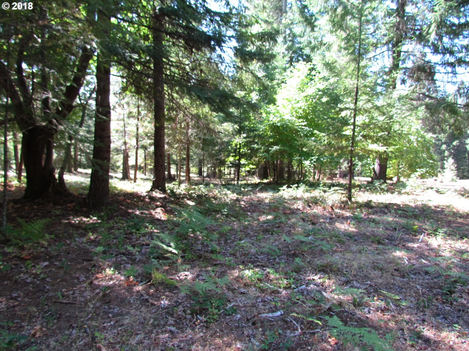 16 Debo Road White Salmon, WA 98672 - Photo 19 of 31 Gallery Image 19