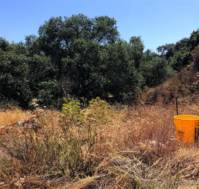 Jamul Drive Jamul, CA 91935 - Photo 9 of 12 The lowest slope of the property, straight ahead and to the left of the yellow barrel, has trees and appears to offer a potential building location. Neither the owner or agent has been on the property.