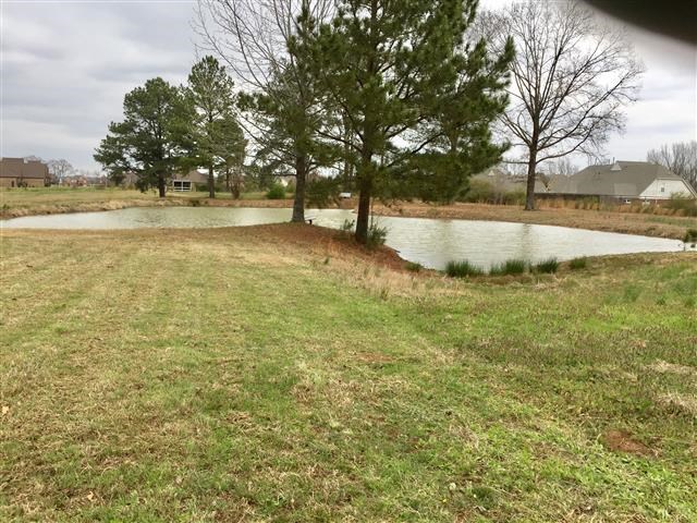 8170 East Holmes Road Memphis, TN 38125 - Photo 22 of 22 Gallery Image 22