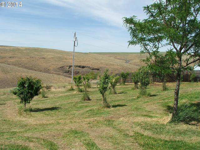 67331 Emert Road Ione, OR 97843 - Photo 8 of 8