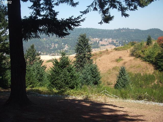39505 Southwest Gibson Road Gaston, OR 97119 - Photo 14 of 16
