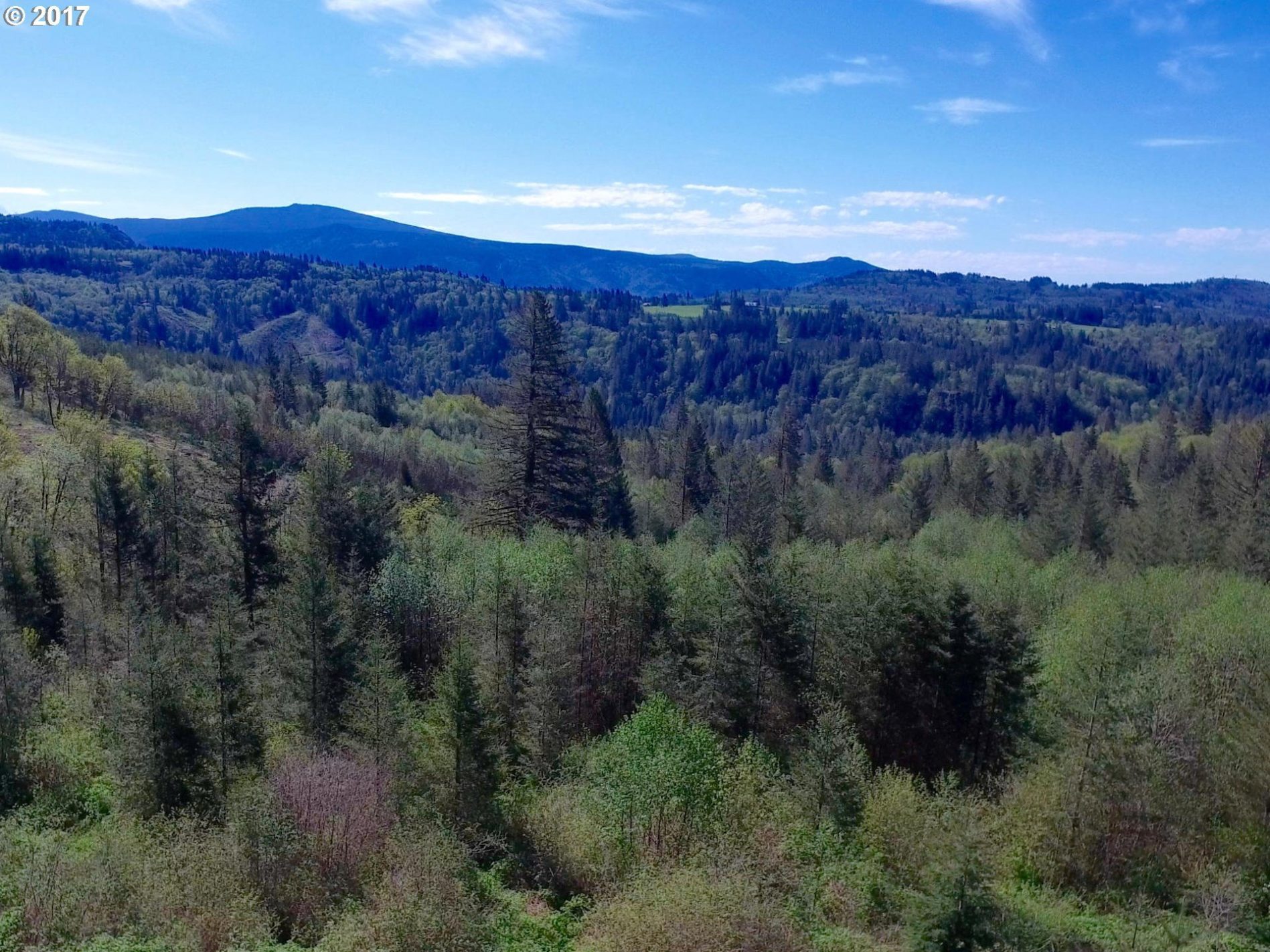 1592 Labarre Road Washougal, WA 98671 - Photo 1 of 32 Gallery Image 1