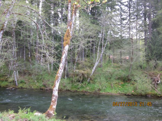 Old Blaidsdell Road Carson, WA 98610 - Photo 3 of 6 Gallery Image 3