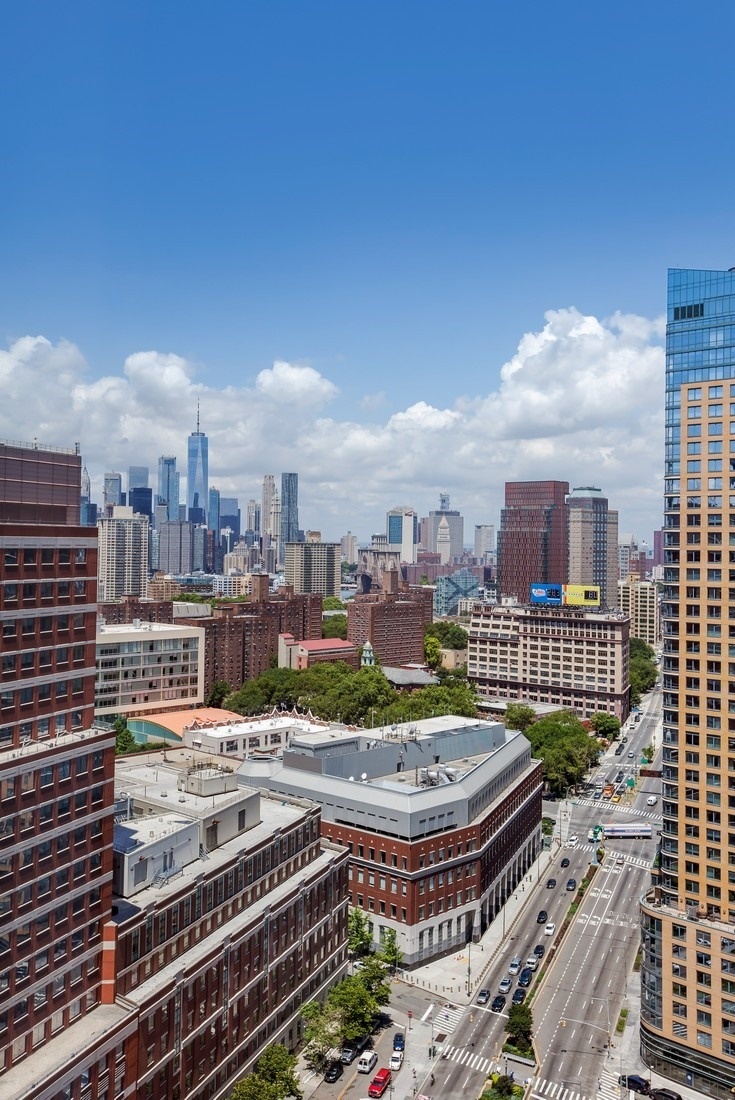 150 Myrtle Avenue, Unit 2602 Brooklyn, NY 11201 - Photo 3 of 15