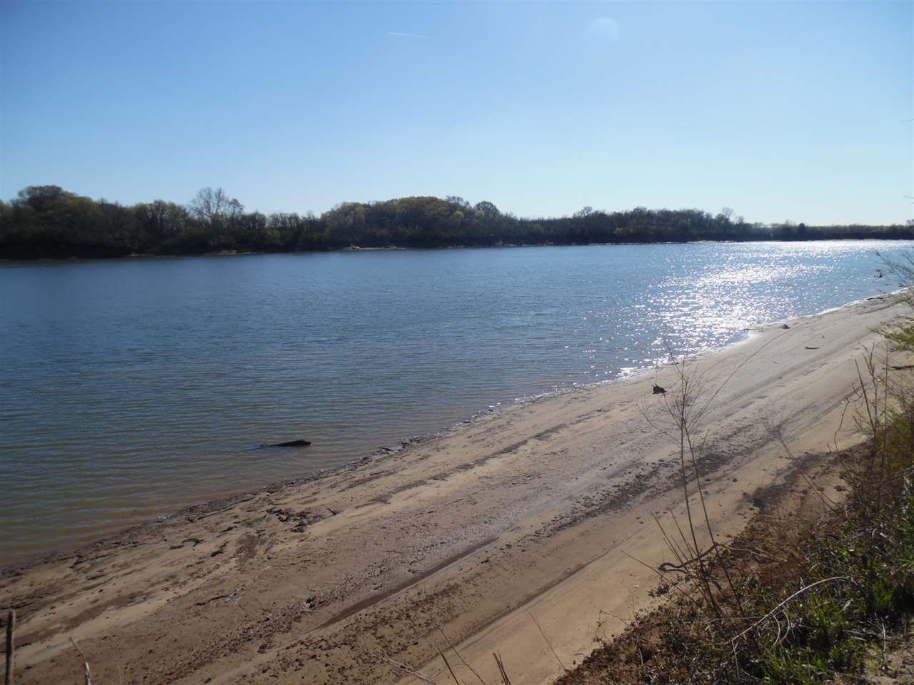 95 River Breeze Estates Road Savannah, TN 38372 - Photo 1 of 10