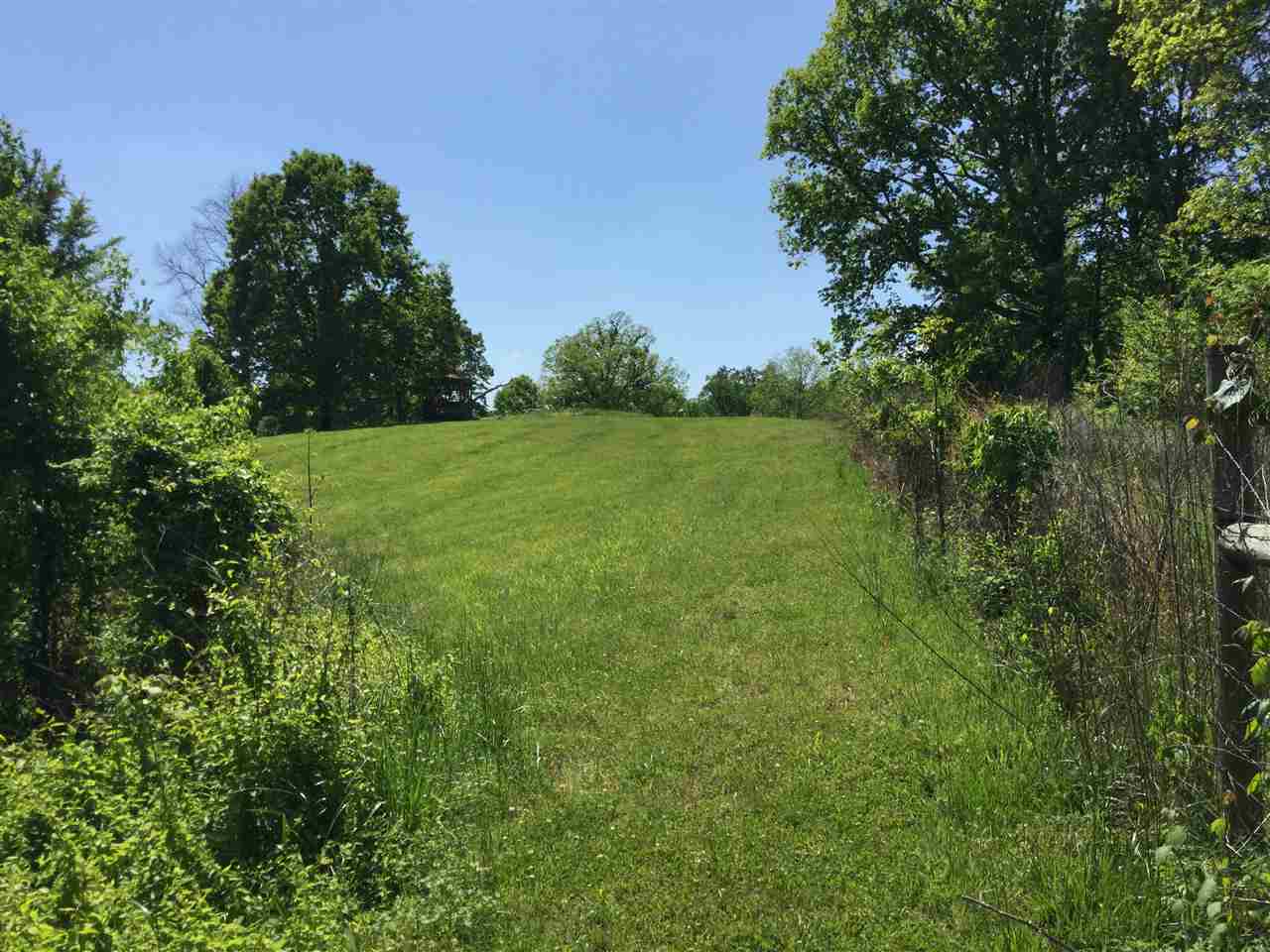 254 Russell Road Drummonds, TN 38023 - Photo 11 of 14 Gallery Image 11