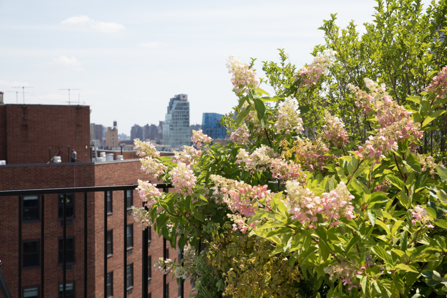 250 Bowery, Unit PHB Manhattan, NY 10012 - Photo 14 of 24