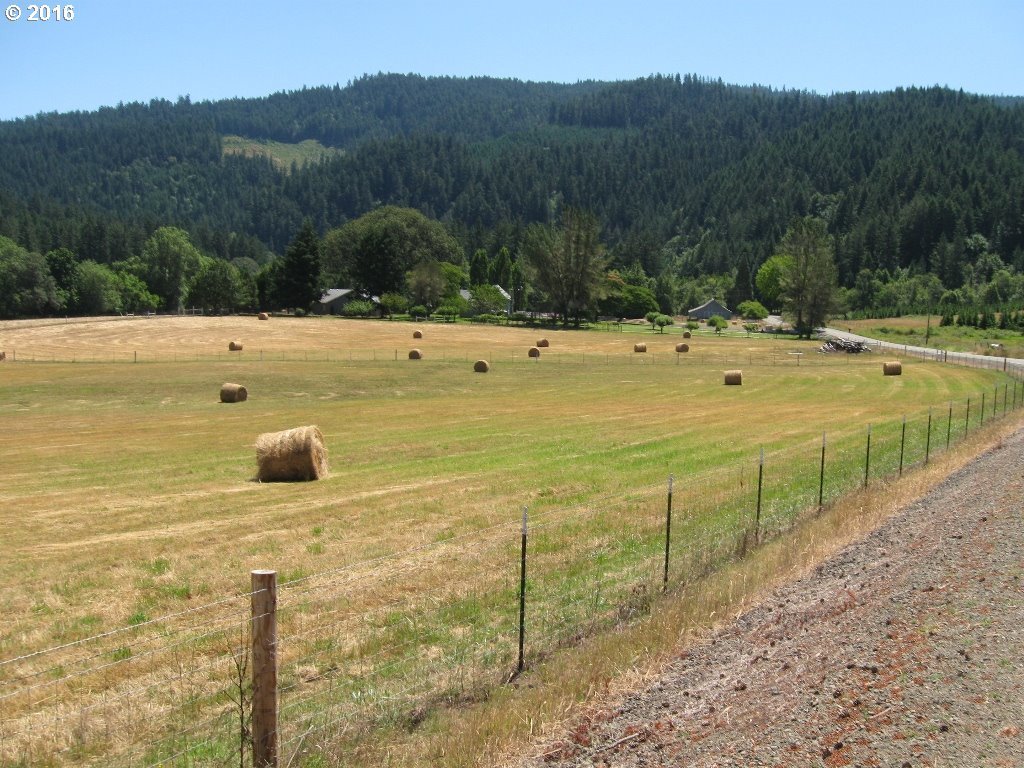 15082 Tyee Road Umpqua, OR 97486 - Photo 18 of 25 Gallery Image 18