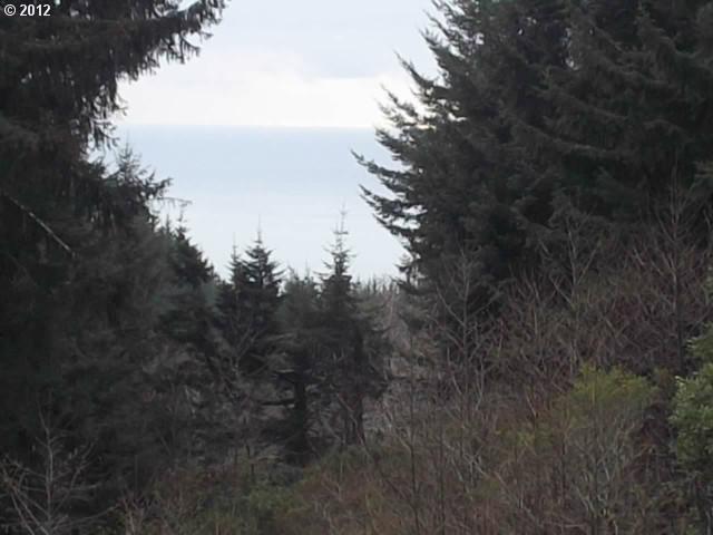 95685 House Rock Road Brookings, OR 97415 - Photo 3 of 16 Gallery Image 3