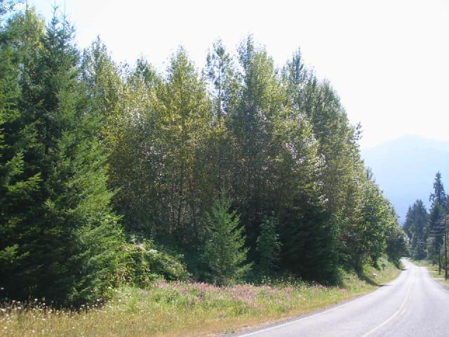 Ryan Allen Road, Unit 1 Stevenson, WA 98648 - Photo 2 of 3 Gallery Image 2