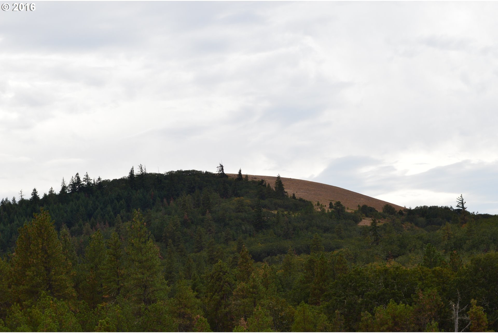 103 Stacker Butte Road Lyle, WA 98635 - Photo 5 of 17 Gallery Image 5