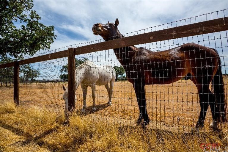 7585 O'Donovan Road Creston, CA 93432 - Photo 19 of 25