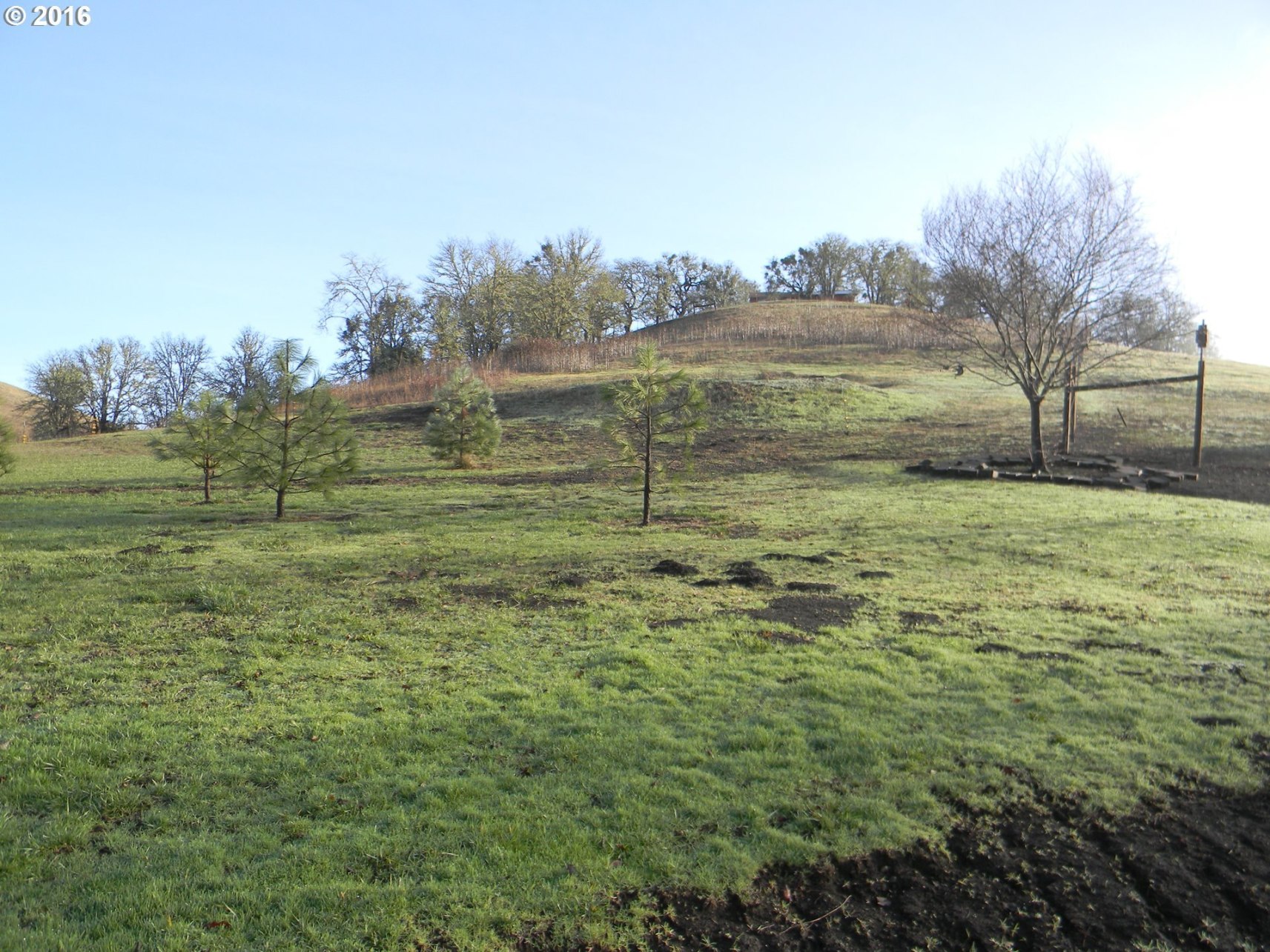 1606 Buckhorn Road Roseburg, OR 97470 - Photo 18 of 31 Gallery Image 18