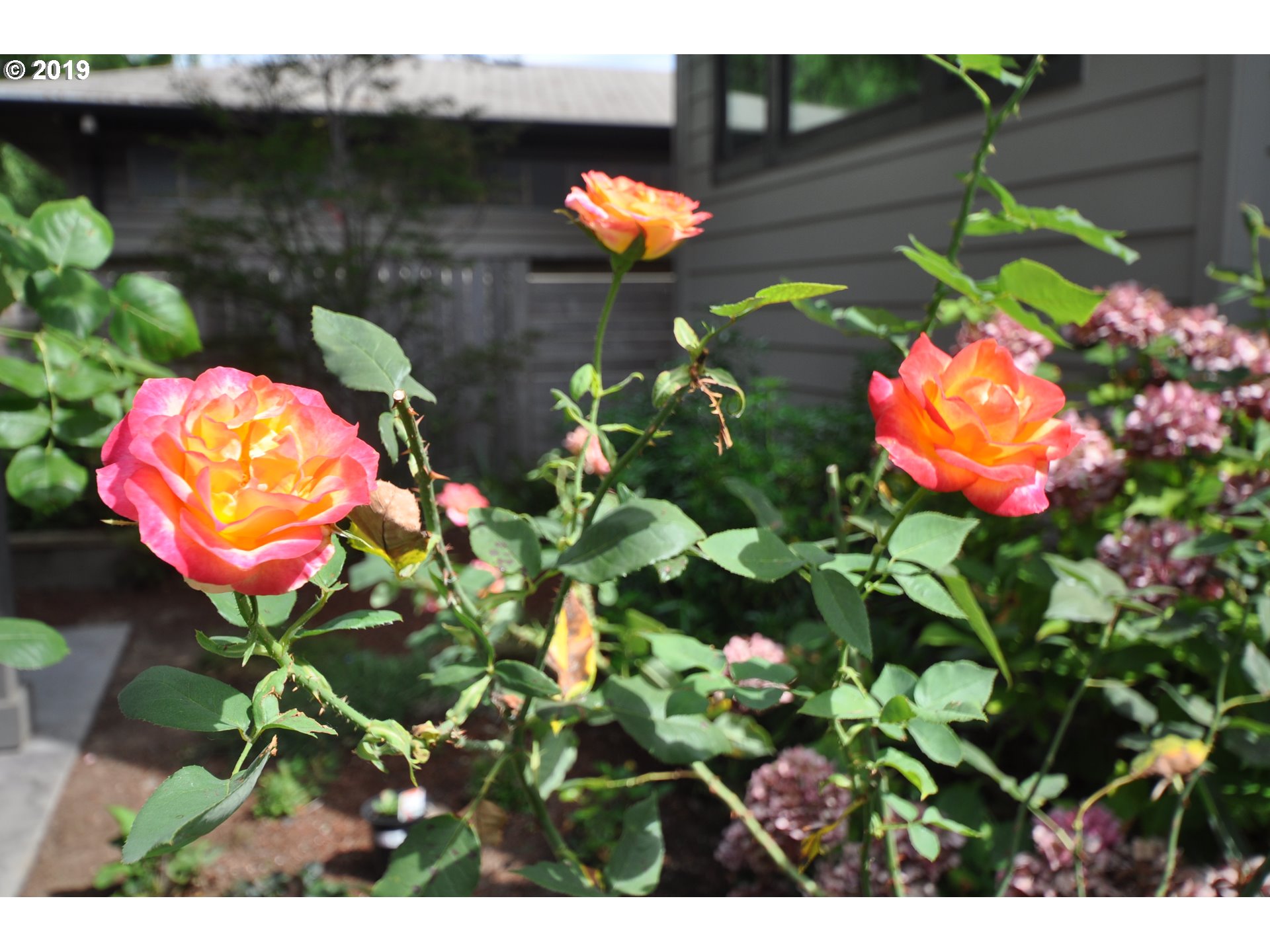 7655 Southeast Sherman Street Portland, OR 97215 - Photo 25 of 32